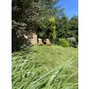 Klappbarer Gartenholzstuhl mit Kissen - hellbraun