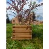 Beistelltischwürfel aus Holz – hellbraun, 29 x 29 x 36 cm